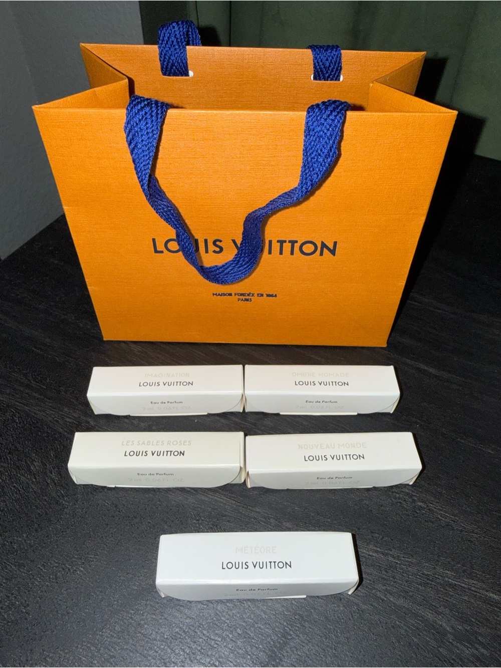Louis Vuitton samples with bag